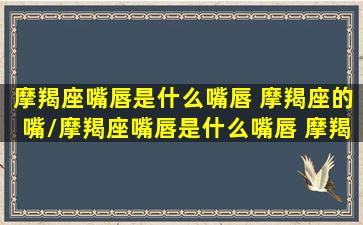 摩羯座嘴唇是什么嘴唇 摩羯座的嘴/摩羯座嘴唇是什么嘴唇 摩羯座的嘴-我的网站